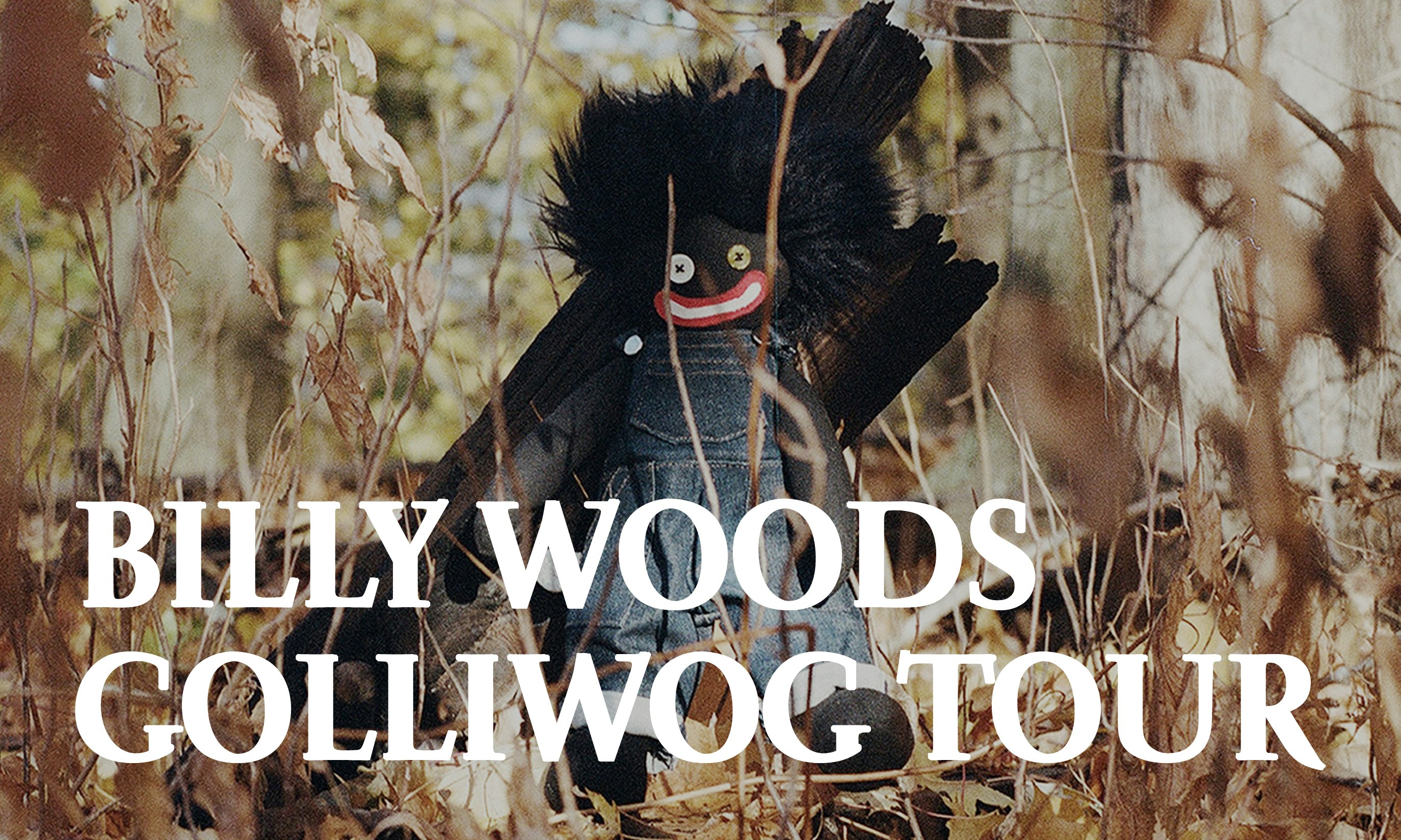 Billy Woods GOLLIWOG Tour Poster